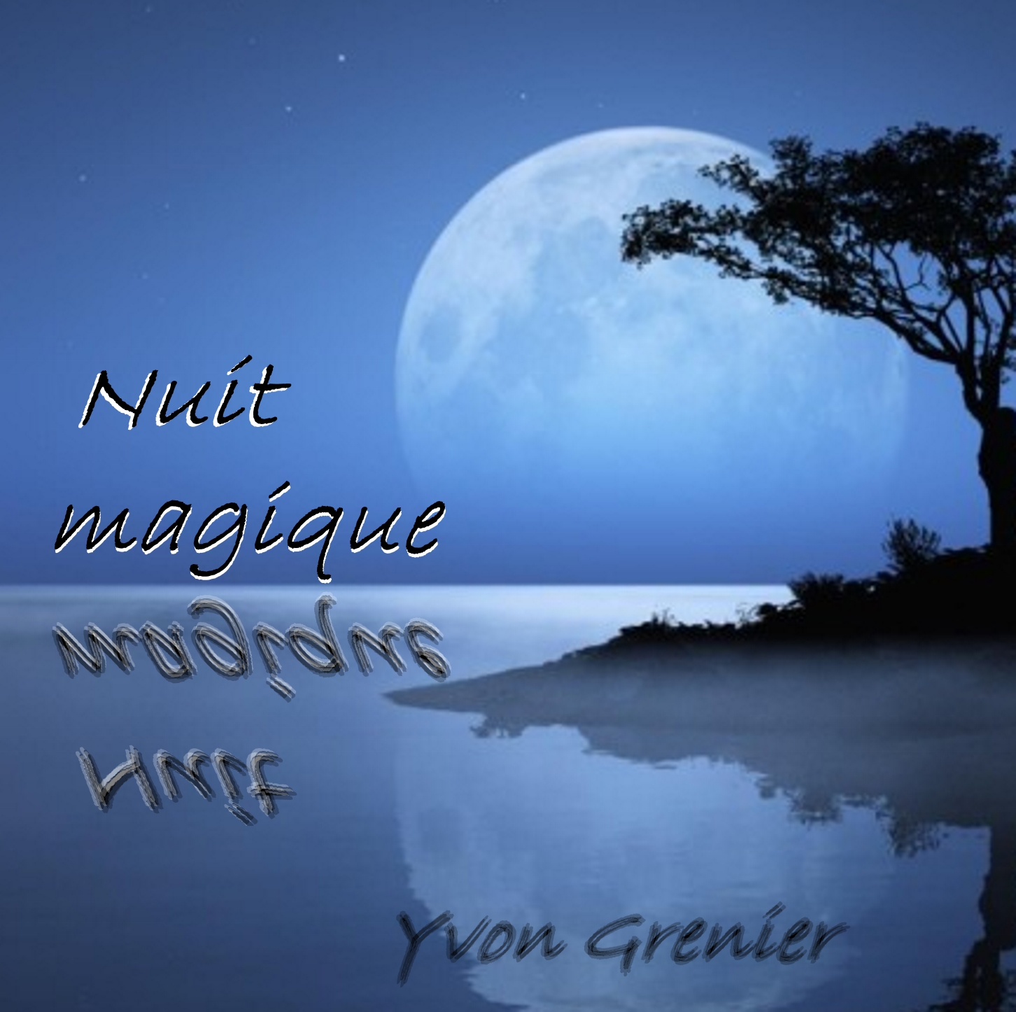 Nuit Magique